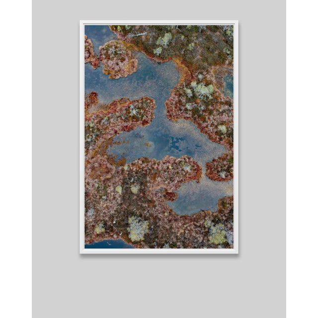 Contemporary "The_Bog_002" Contemporary Limited Edition Fine Art Photograph Print by Bernhard Lang For Sale - Image 3 of 8