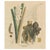 Curcuma Longa, 1800s, Paper For Sale - Image 10 of 10