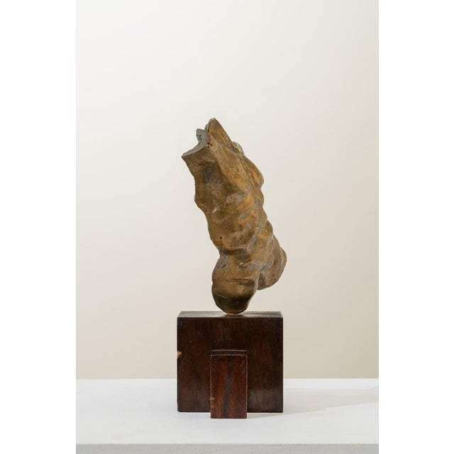 Spanish School Artist, Sculpture of a Male Torso, 20th Century, Bronze For Sale - Image 3 of 7