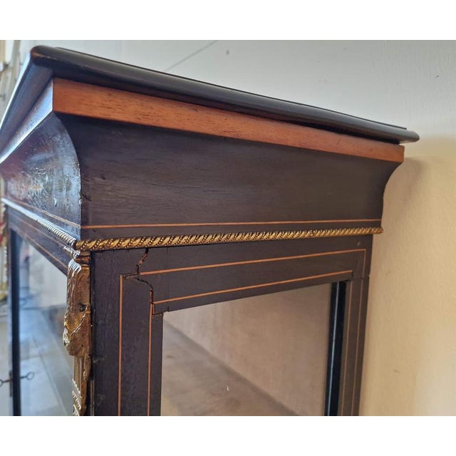 Antique Mahogany Display Case For Sale - Image 11 of 12