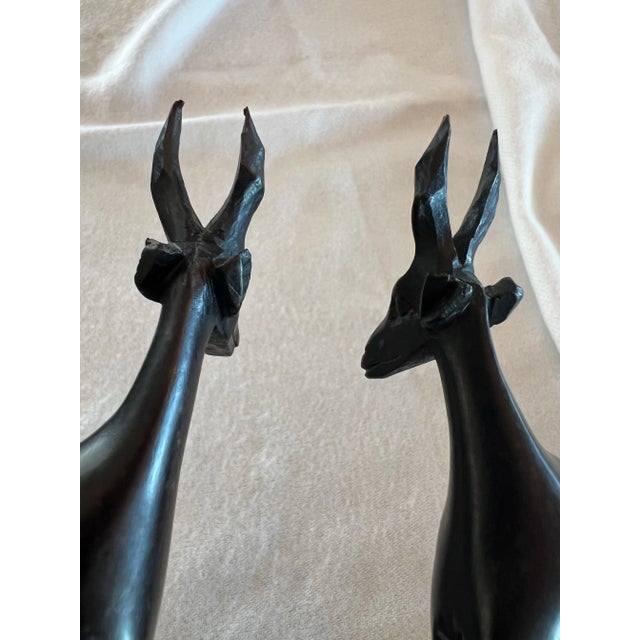 Hand Carved South African Springboks or Antelopes For Sale - Image 12 of 12
