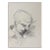 Vintage Mid Century Abstract Portrait Study Drawing For Sale
