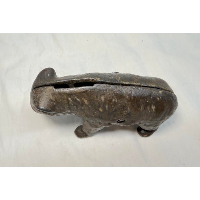 1910s Antique 1910 Cast Iron Pre-Teddy Bear Animal Still Coin Bank by Arcade Foundry For Sale - Image 5 of 9