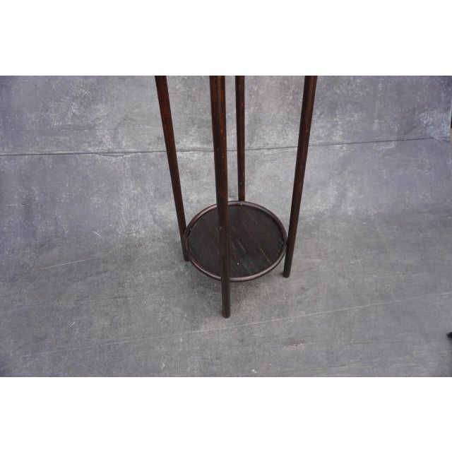 1900 - 1909 Thonet Bentwood Vienna Secession Style Plant Stand For Sale - Image 5 of 9
