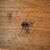 Off-white Vintage Mid-Century Modern Wooden Ice Bucket Bruce Marton DDC For Sale - Image 8 of 8