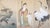 Japanese Showa to Early Heisei Era Japanese Silk Scroll Paintings by Jin, Set of 3 in Original Case For Sale - Image 3 of 18
