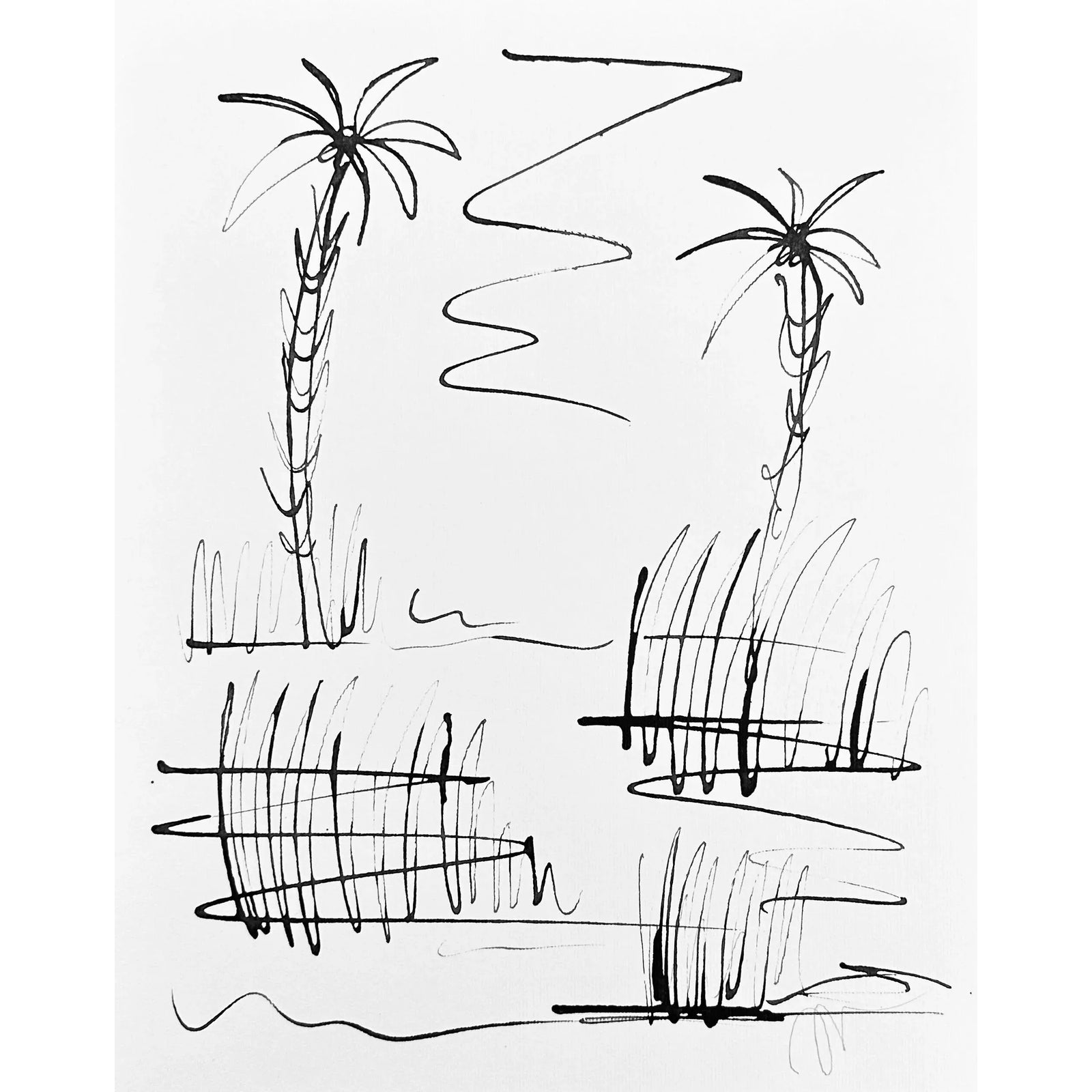 Haley Mathewes Original Lyford India Ink Palms Drawing | Chairish