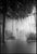 Paul Cooklin, Girl, Mist Spray, Paris, Edition of 50 For Sale - Image 7 of 7