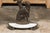 English Iron Umbrella Stand with Dog and Tree Motif and White Receptacle For Sale - Image 10 of 12