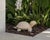 Vintage Cast Stone Turtle Garden Statue For Sale - Image 11 of 12