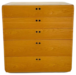 Mid-Century Modern Chest of Drawers by Derk Jan De Vries, 1960s
