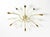 Large Mid-Century Modern Brass Sputnik Ceiling Lamp with 12 Arms, 1950s For Sale - Image 6 of 18