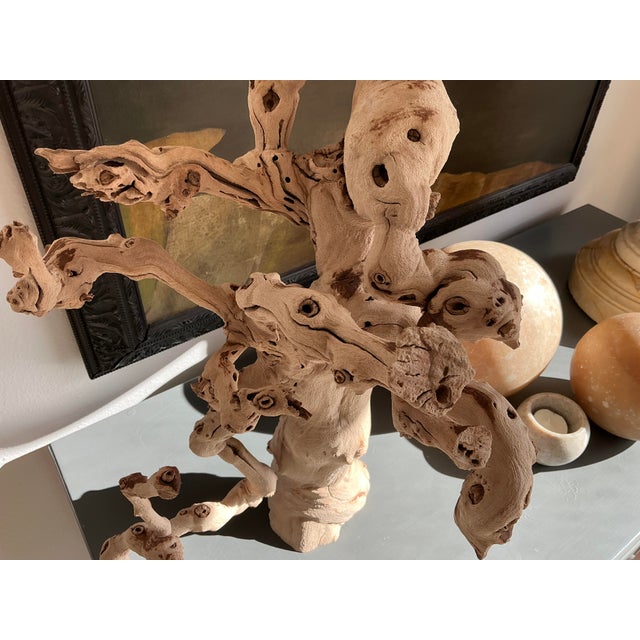 Mediterranean Vintage Wood Sculpture For Sale - Image 3 of 7