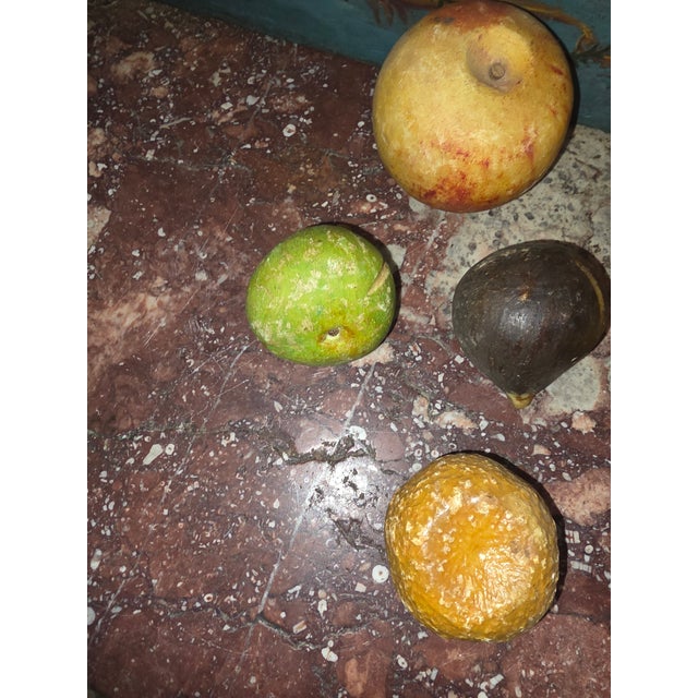 Traditional Vintage Stone Fruit Collection For Sale - Image 3 of 10