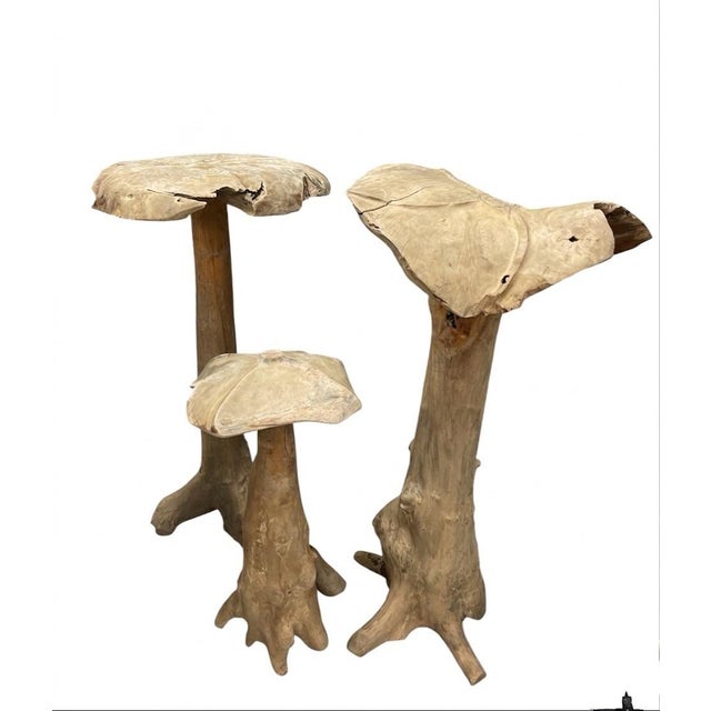 Set of Vintage Organic Teak Driftwood Mushroom Sculptures, 3 Pieces For Sale In West Palm - Image 6 of 12