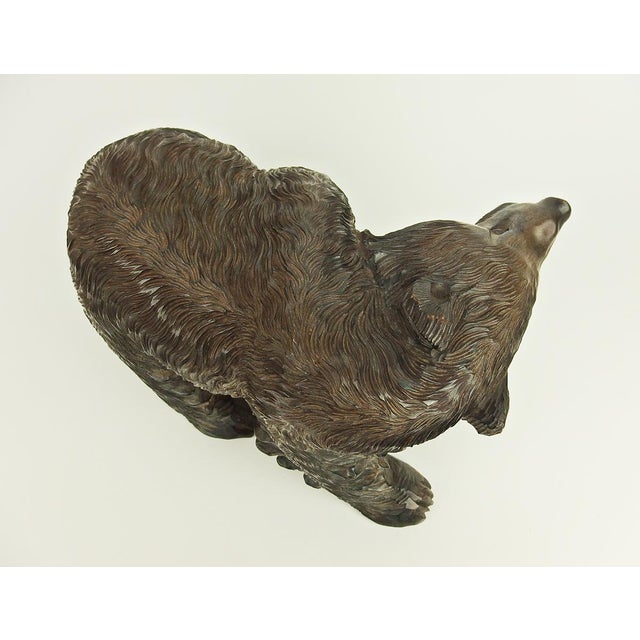 Carved Wooden Ainu Bear, 1960s For Sale - Image 6 of 17