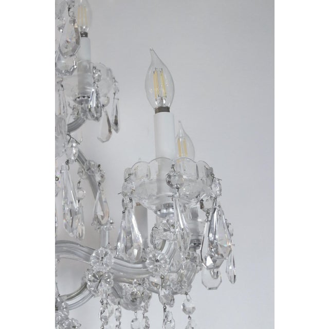Mid 20th Century Mid 20th Century 15 Light Marie Therese Crystal Chandelier For Sale - Image 5 of 12