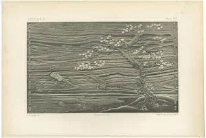 G. A. Audsley, Tranquility in Monochrome, 1884, Chromolithograph on Paper