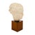 Art Deco Period, French Bust of Hygieia, Wood and Plaster, Circa 1940 For Sale - Image 4 of 9