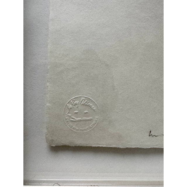 Ernesto Caivano, Vegetable Omens (2005), Etching & Drypoint, 13/26 For Sale - Image 4 of 11