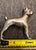 Metal Vintage S. Kirk & Sons Miniature Sterling Silver Boxer Figurine For Sale - Image 7 of 12