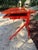 Modern Red Lacquered Desk and Chair For Sale In Savannah - Image 6 of 14