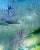 Pair of Etched Glass Ocean-Themed Doors For Sale - Image 4 of 11