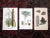 Mid 19th Century Antique 19th Century Botanical Lithographs - Set of 3 For Sale - Image 5 of 5