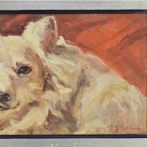 Oil on cardboard realized by Fausta Settimj in the early 20th Century. Hand signed and dated (date not readable). Very...