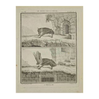Jean Charles Baquoy, L'Oreillar, Etching, 1771 For Sale