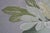 Rosalyn Gale Powell Signed Peony in a Chinese Jar Lithograph Print 27" For Sale - Image 10 of 11