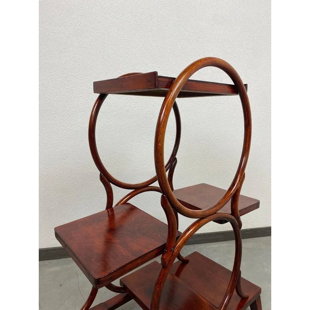 Bentwood Plant Stand from Thonet, 1920s For Sale - Image 6 of 10