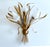 1960s Large Vintage Bouquet Wall Light from Kögl For Sale - Image 5 of 17