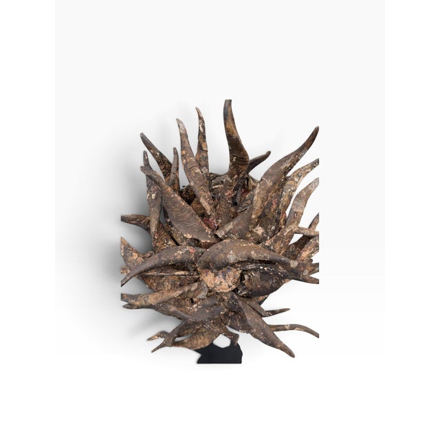 Brown Large Mid-20th Century African Guéré (Wè) Gela Horn "War" Power Mask on Custom Stand For Sale - Image 8 of 8