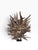 Brown Large Mid-20th Century African Guéré (Wè) Gela Horn "War" Power Mask on Custom Stand For Sale - Image 8 of 8