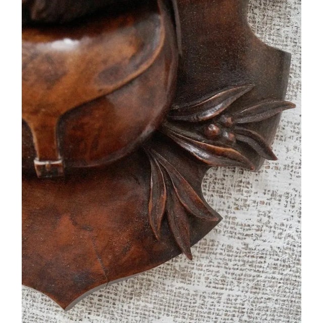 Antique Black Forest Trophy Wall Plaques, 1800s, Set of 2 For Sale - Image 6 of 11