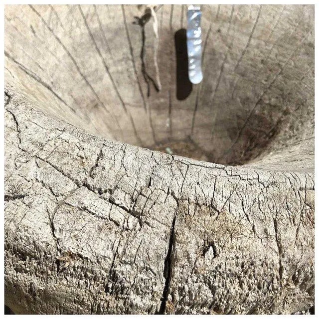 DETAILS Found in the region of La Huasteca in Mexico, this antique mortar is carved from a single tree trunk, and was...