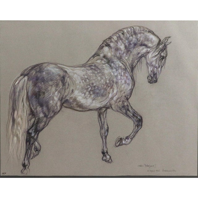 Late 20th Century Horse Pastel by Leslie Charlotte Benenson of Stallion 'Lebrijano' , an Andalusian Horse, Dated 20th August 1995 For Sale - Image 5 of 7
