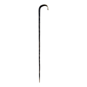 Antique Walking Cane Featuring Shaped Horn Handle Stacked Horn Shaft