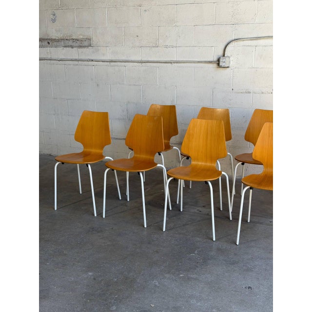 Mid 20th Century Mid 20th Century Set of 8 Danish Modern Bentwood Dining Chairs White Metal Mid Century Chairs For Sale - Image 5 of 10
