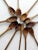 Brown Vintage Wooden Kitchen Spoons Set of 11 For Sale - Image 8 of 12