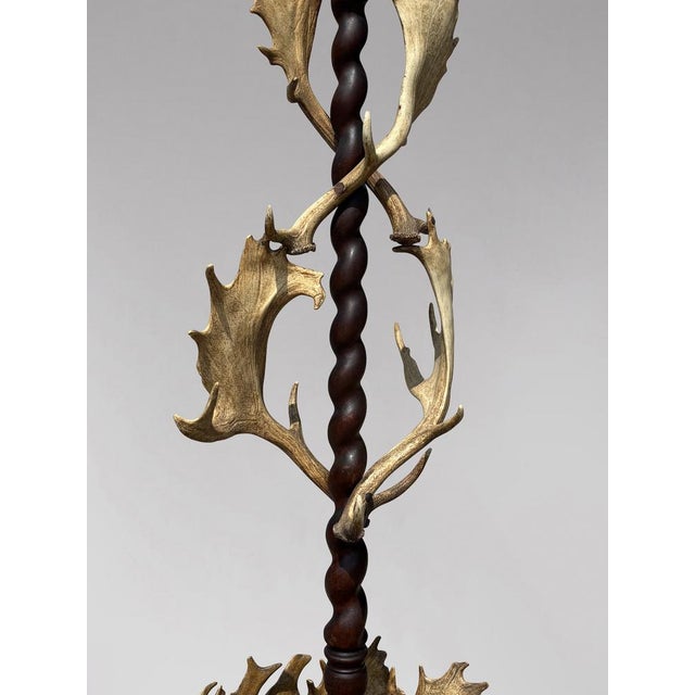 Antique Antler Coat Stand by J. Parker of Woodstock, 1850 For Sale - Image 3 of 12