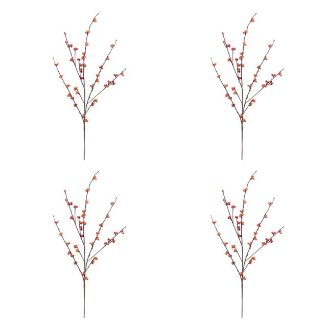 Rustic Berry Twig Spray (Set of 4) For Sale - Image 3 of 3