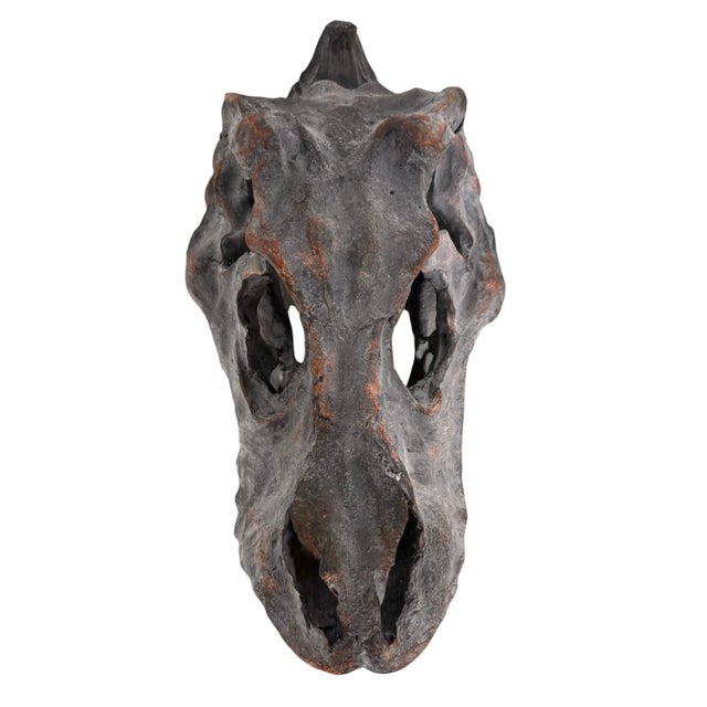 Late 20th Century Late 20th Century Tyrannosaurus Rex Skull Sculpture For Sale - Image 5 of 13