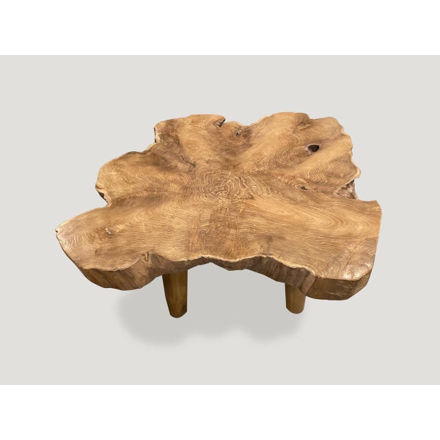 Mid-Century Modern Andrianna Shamaris Mid-Century Style Single Slab Coffee Table For Sale - Image 3 of 18