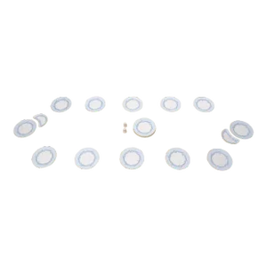 Set of 16 Minton Porcelain China Made in England Diner Plates Salt & Pepper Set