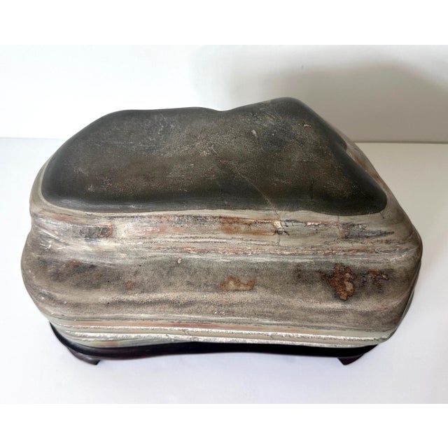 Chinese Scholar Stone Caitao Rock on Display Stand For Sale - Image 14 of 18