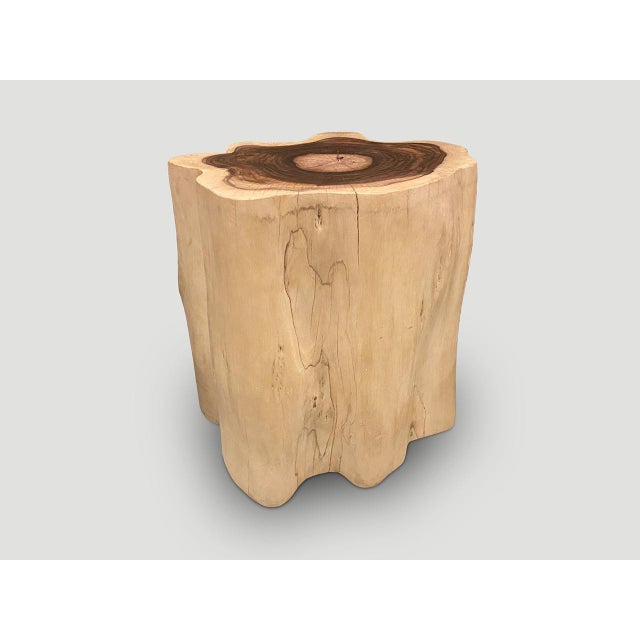 Andrianna Shamaris Rare Sono Wood Oversized Side Table or Pedestal For Sale - Image 13 of 18