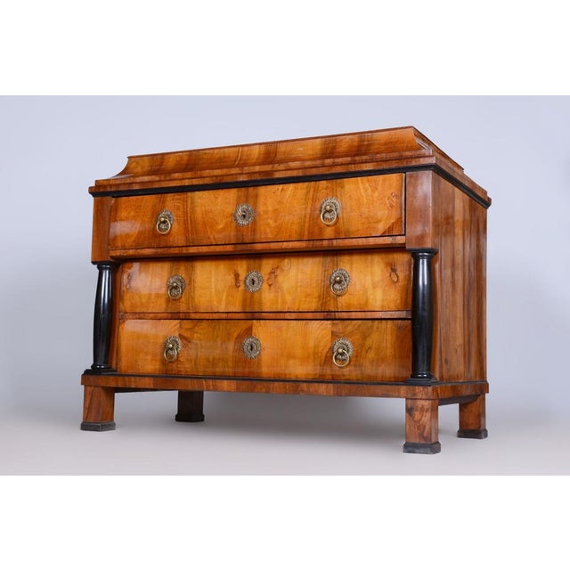 Biedermeier Chest of Drawers in High Gloss Walnut, Former Czechoslovakia, 1820s For Sale - Image 10 of 15