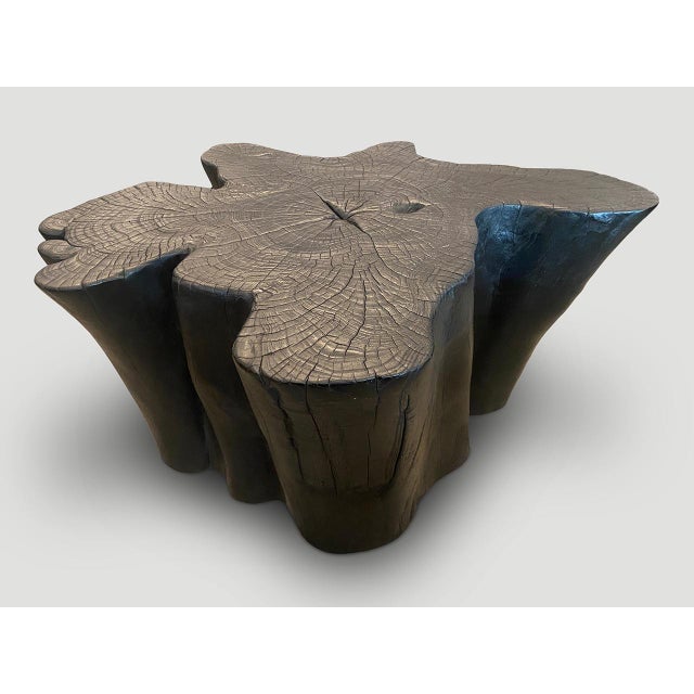 Andrianna Shamaris Amorphous Charred Teak Wood Coffee Table For Sale - Image 16 of 18